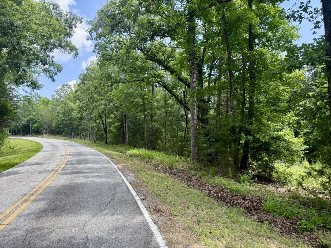 12.00 Acres at 0 Neeley Ferry Road