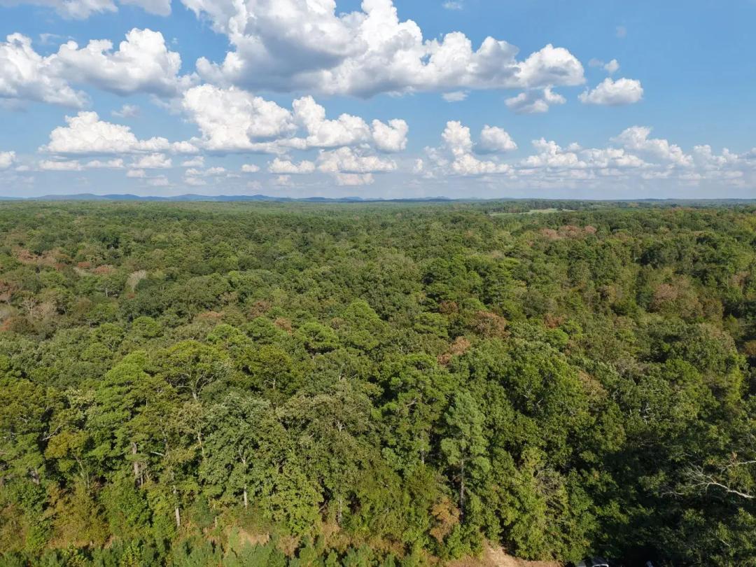30 Acres on Lazy Wood Lane Cove in Polk County, AR 