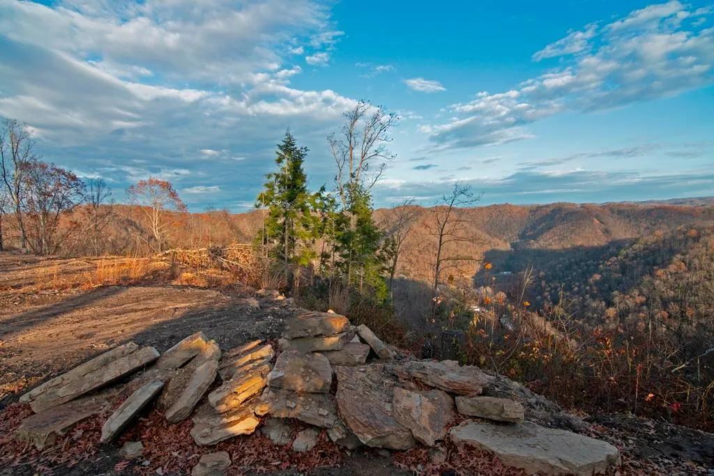 Lost Branch Forest and Retreat in Almost Heaven, Wyoming Co., WV
