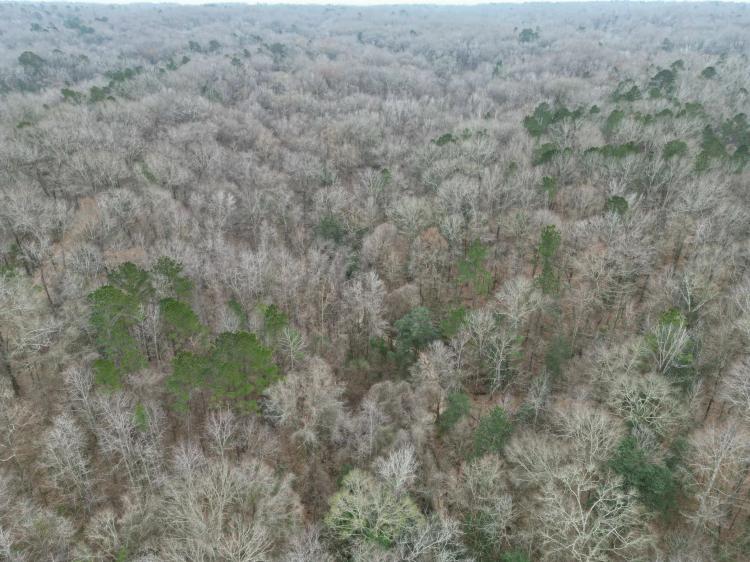 35.9 Acres in Adams County, MS 