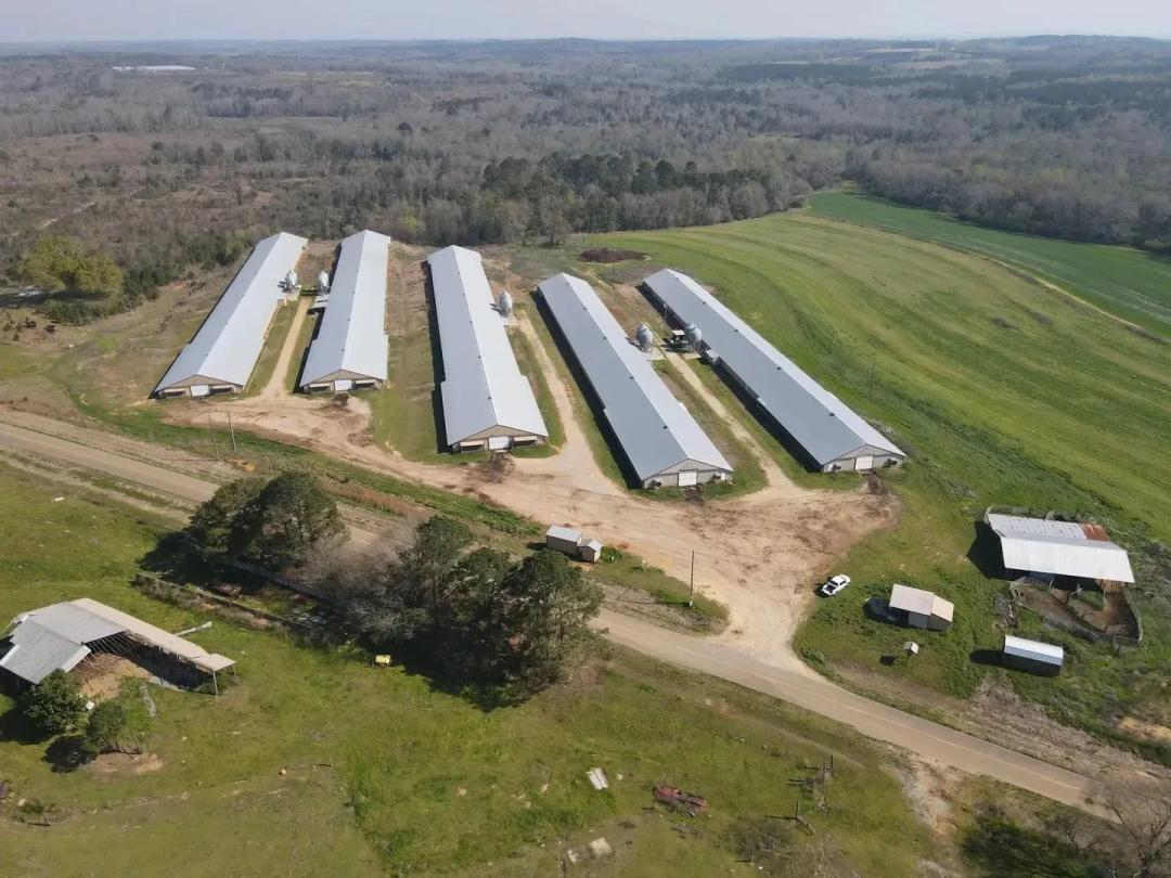 PENDING - Little Judy Creek Broiler Farm – Five House Farm in Dale Co., AL