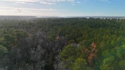 DJI_20241216093337_0171_D