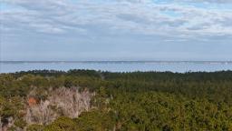 DJI_20241216093549_0181_D