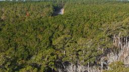 DJI_20241216093616_0183_D