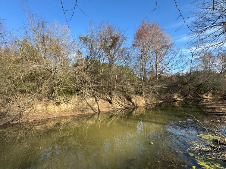 40.00 Acres at 00 Pikeville-Princeton Road