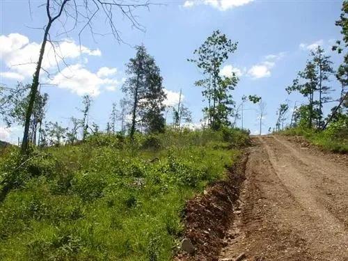 Missouri, Shannon County, 28.8 Acres