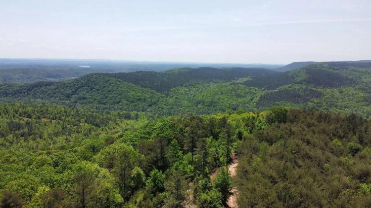 Walk off of your property and on to state land! 