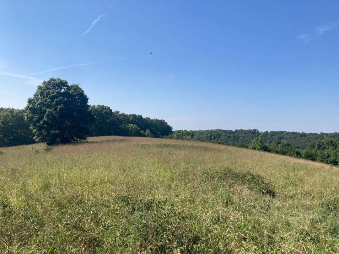 Beautiful 78 acres in Christian County near Bruner, MO with Shop and other building