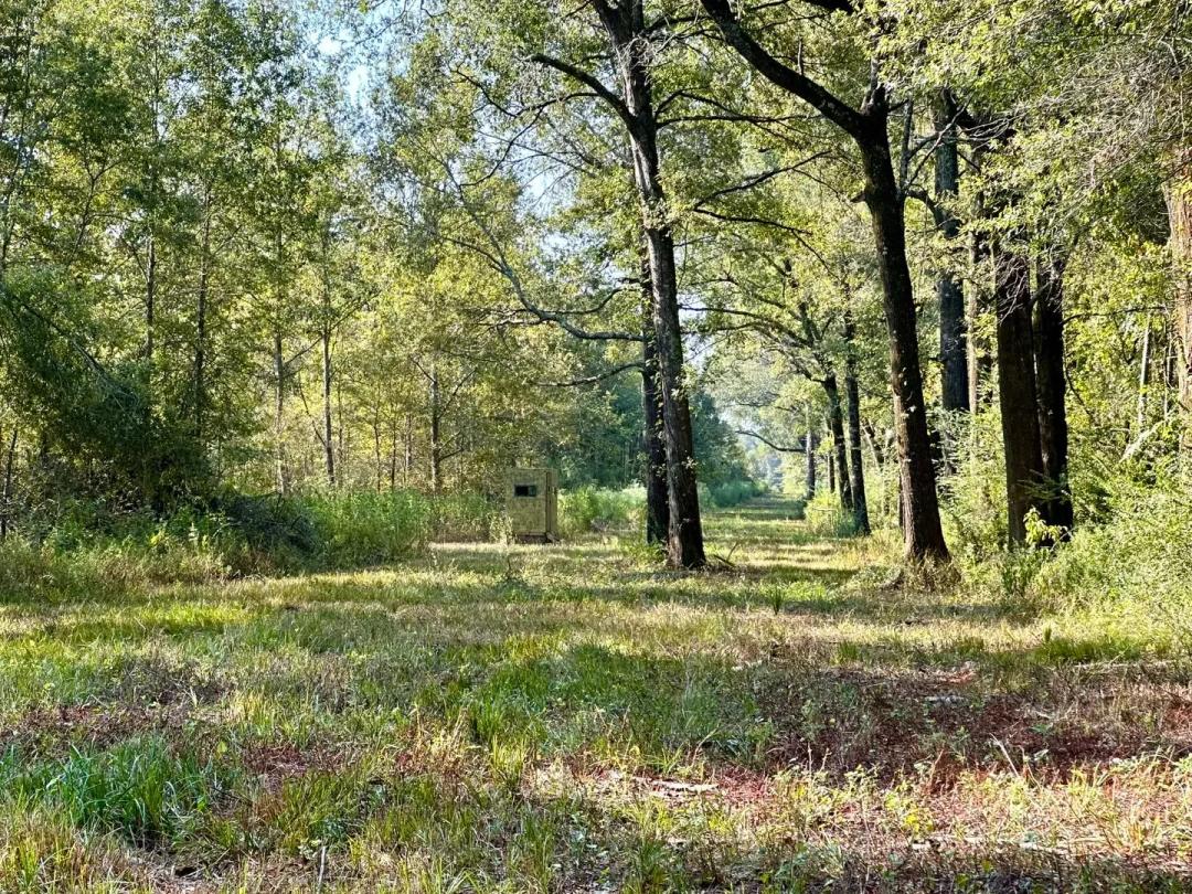 LA - Franklin 117 acres +/-