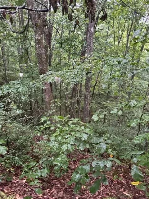 Lot 33 Wilson Ridge