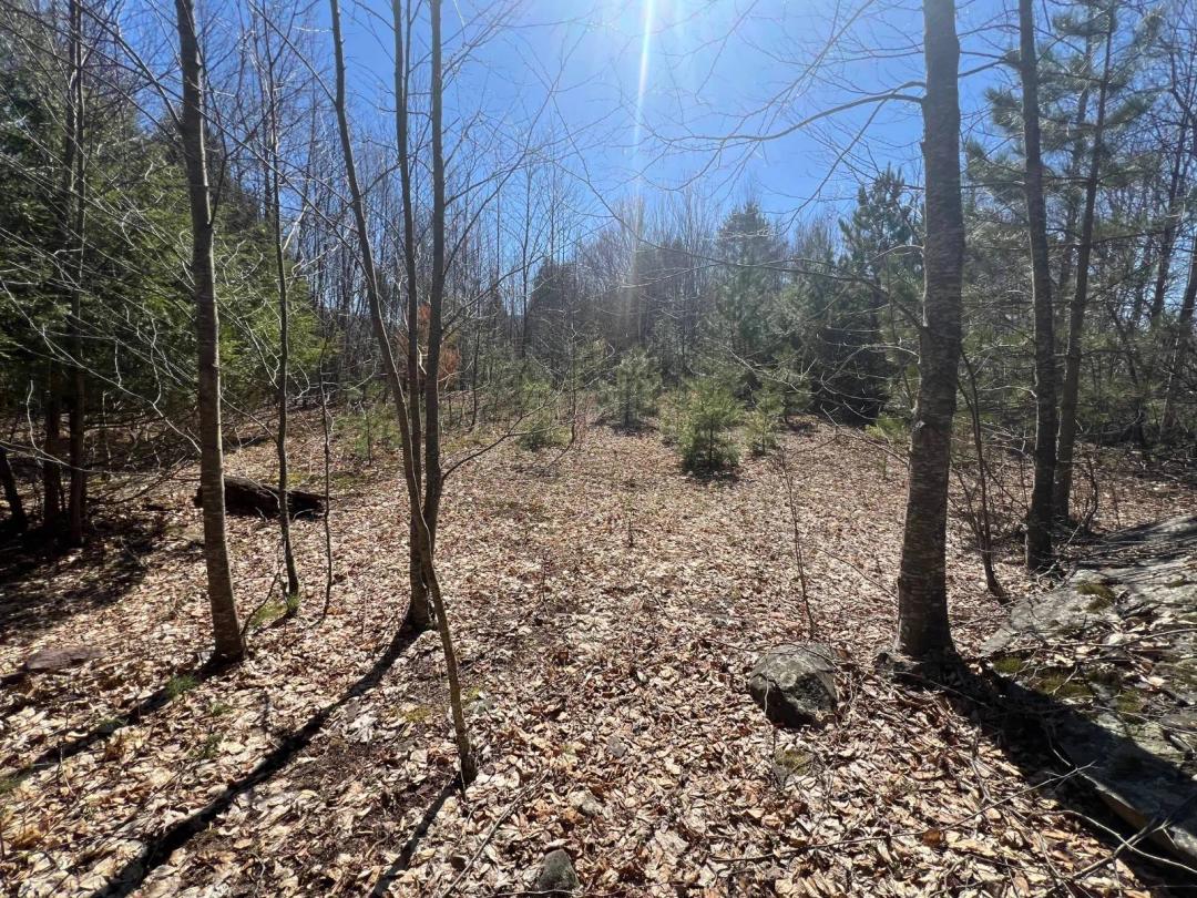 Build your Dream Home Here!