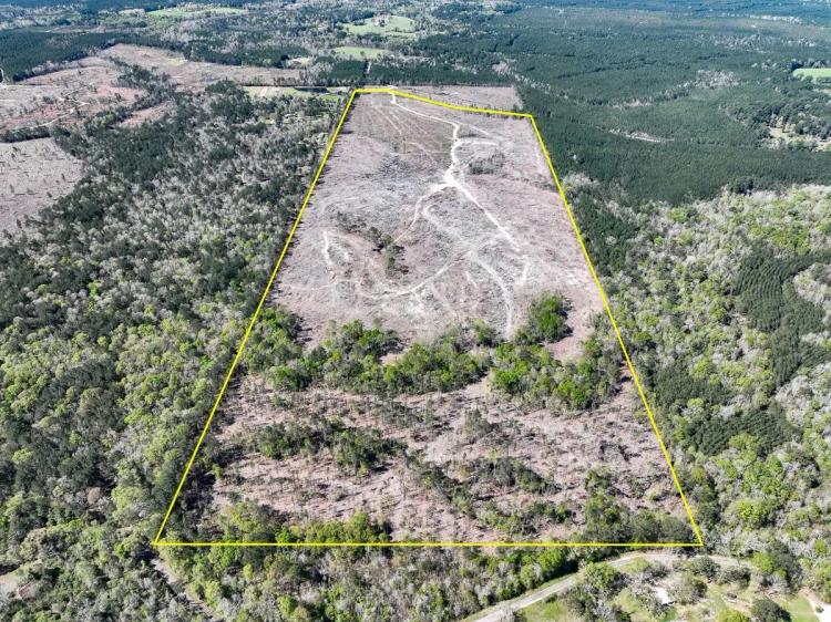 143 Acres | County Road 443