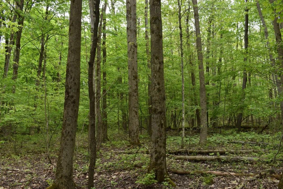 Twenty-Eighth Creek
