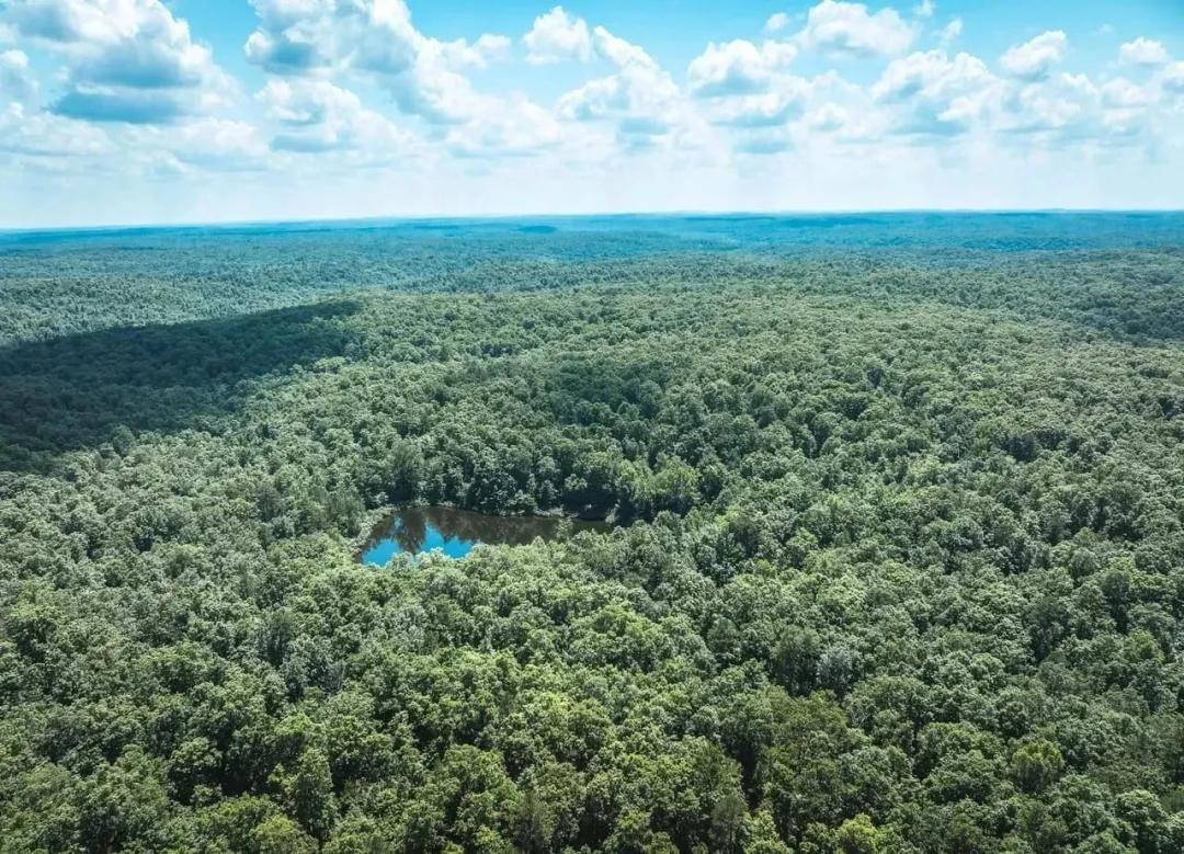 Land &amp; Timber 235