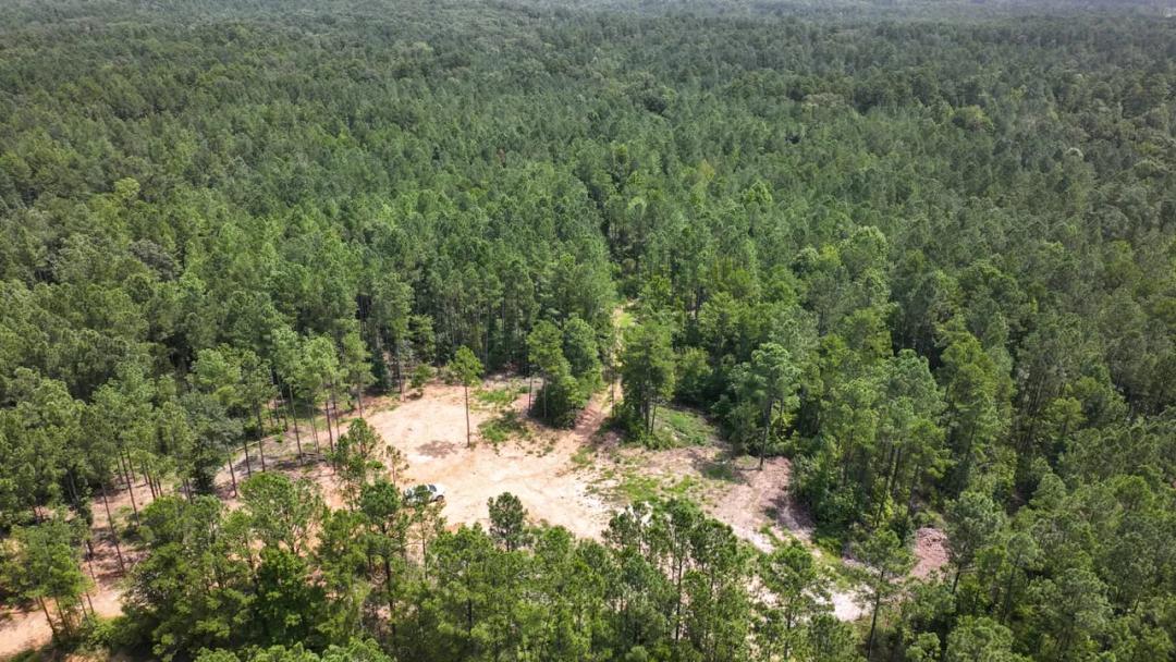 Webster County - 42 Acres - Green Door Road