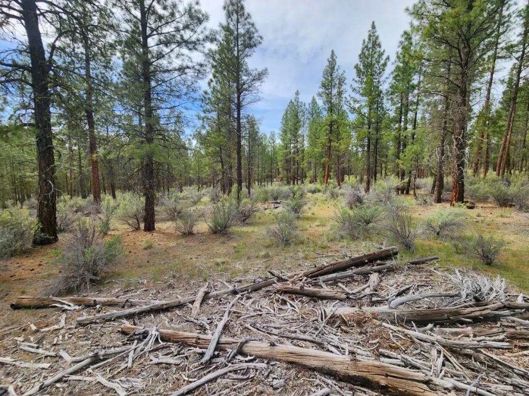 4.68 Acres, Klamath, OR, R269168-R269159