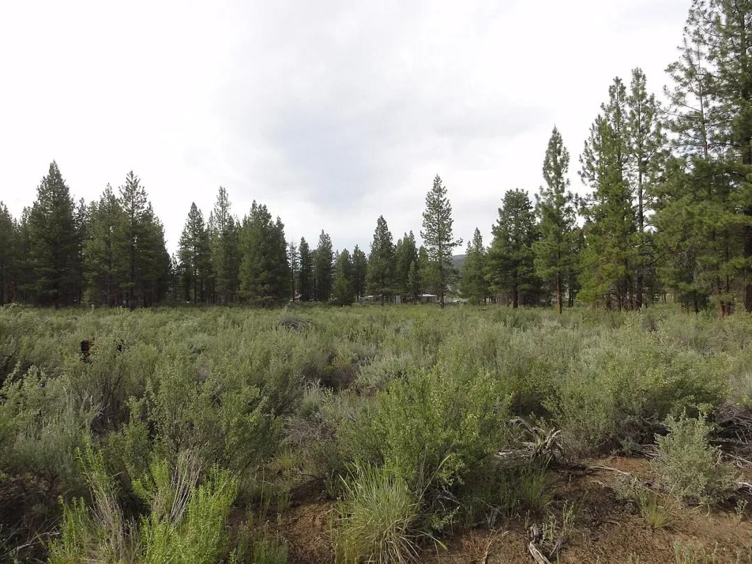 4.68 Acres, Klamath, OR, R269168-R269159