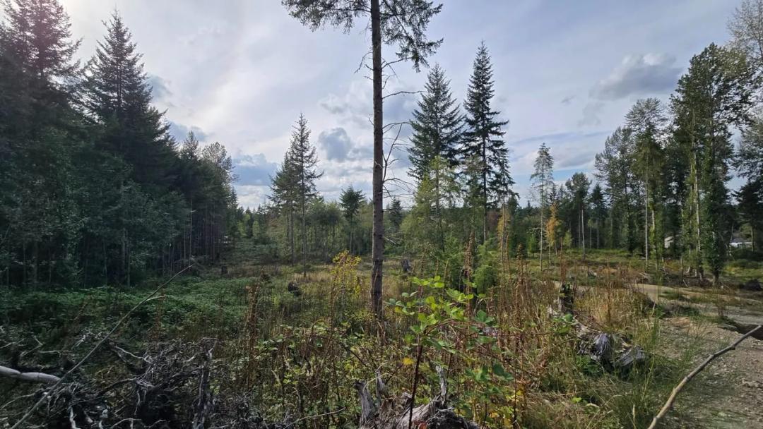 Buckley - Vacant Land 20.21 acres