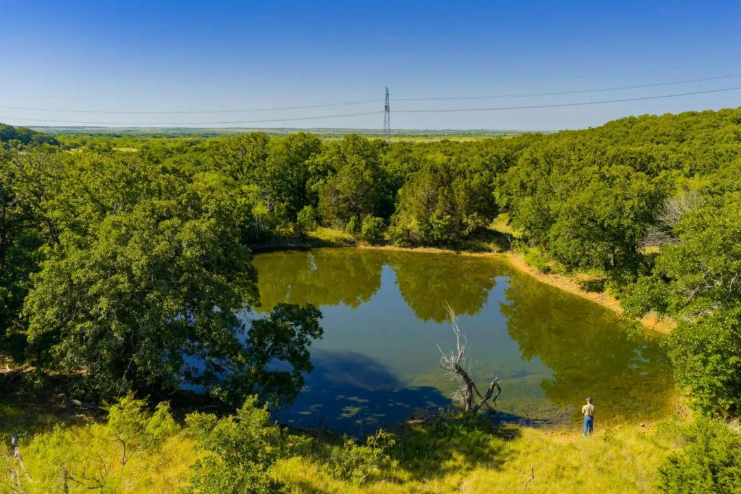 Nash Road Ranch