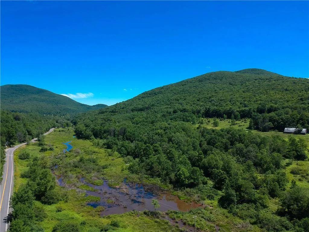 297+ Acres with Idyllic Views