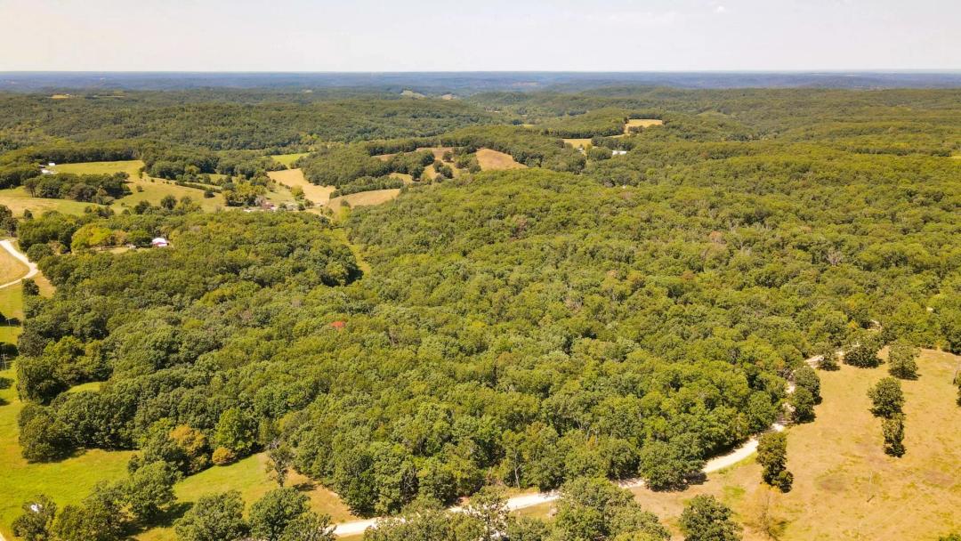 Private 3.2±-Acre Wooded Tract with Build Potential – Camden County 