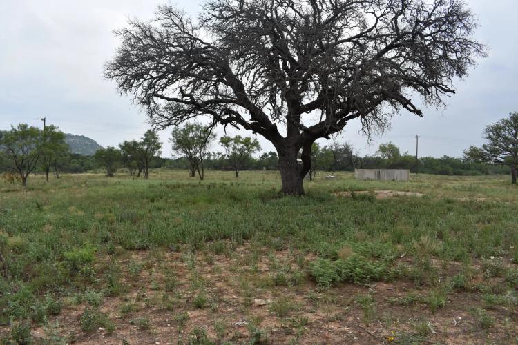 319.89 ACRES KIMBLE COUNTY