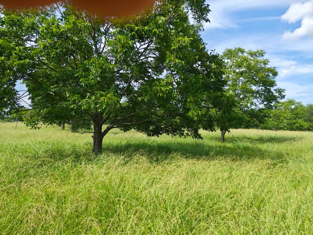 30.90 Acres at 0 Pud Clack Rd