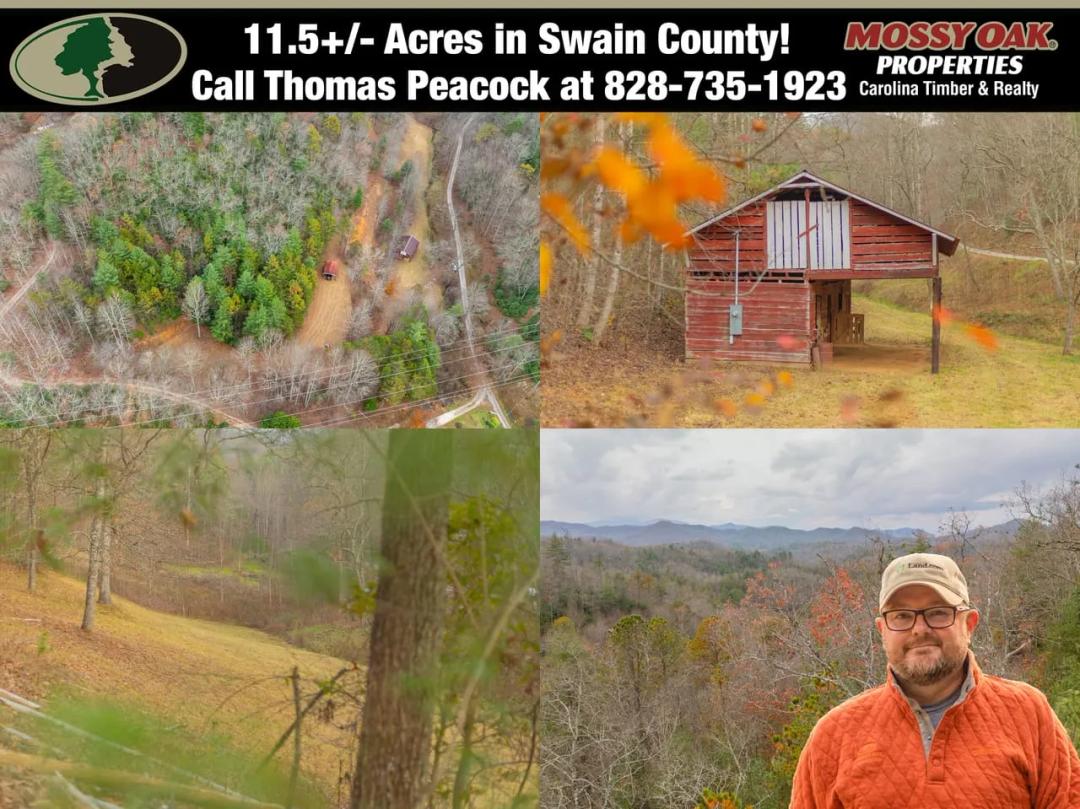11.5+/- Acres in Swain County!