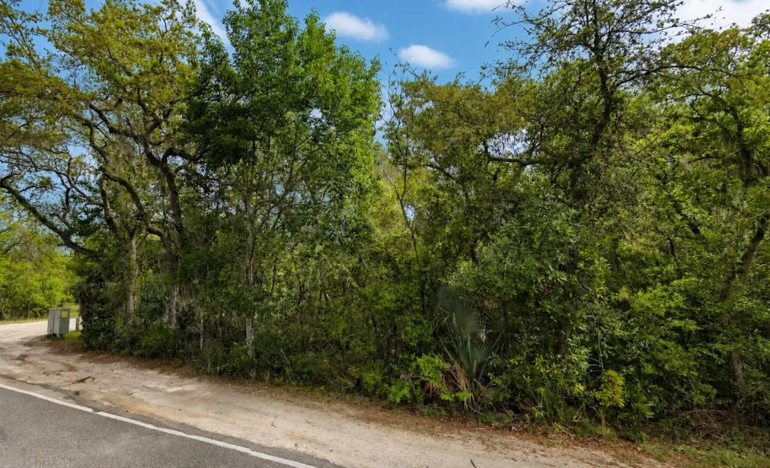 .24-Acre Corner Lot off a Paved Road – Build or Invest in Peaceful Fort McCoy, FL!