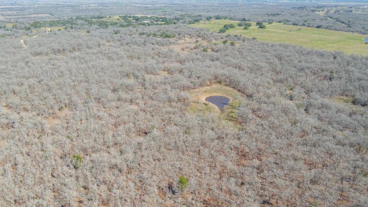 10.01 Acres in Milam County