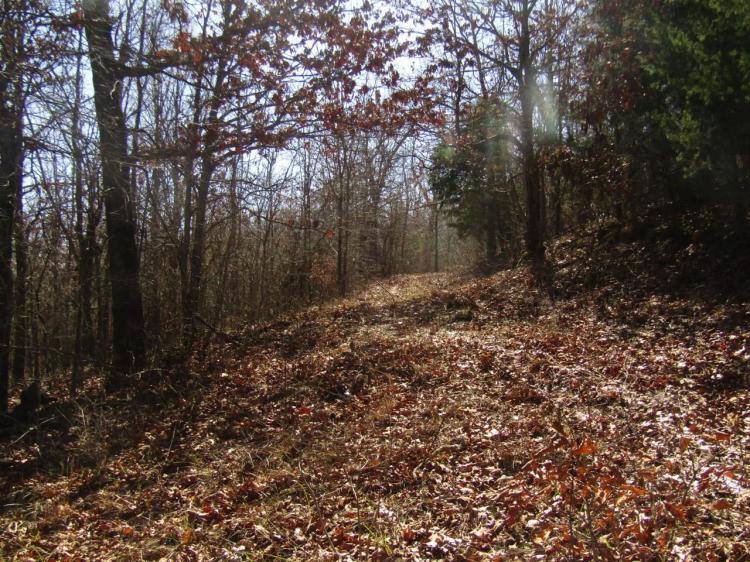 Secluded Building Rolling Hill Ranch Lot Phase 1 Tract 5 Choctaw County, OK 39 AC
