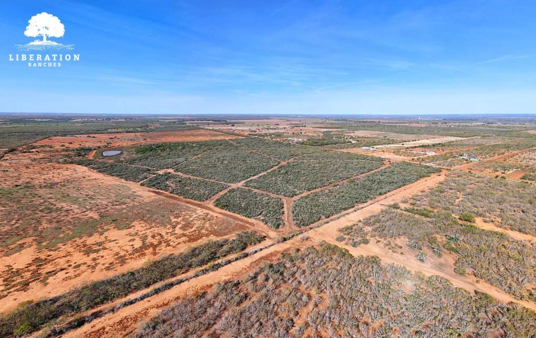 JOURDANTON 101 Tract 6 | 11+ Acres | Only $15K Down