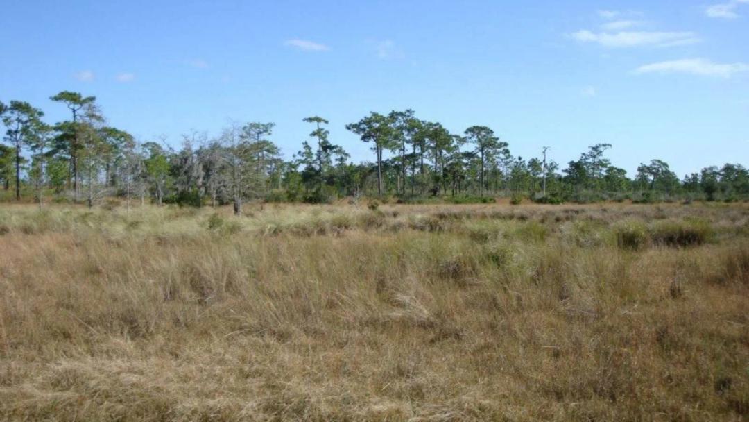 River Ranch 2.51 Acres RV &amp; Camping Recreational Land