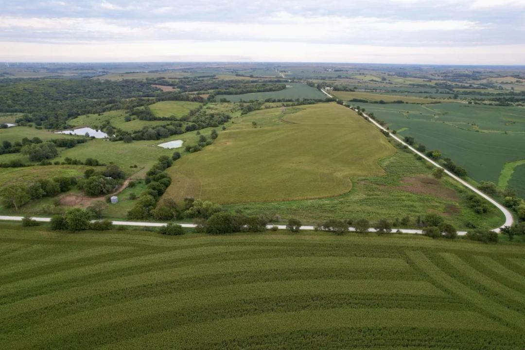 Listing #18577 - 80.00 acres in Adams County, IA