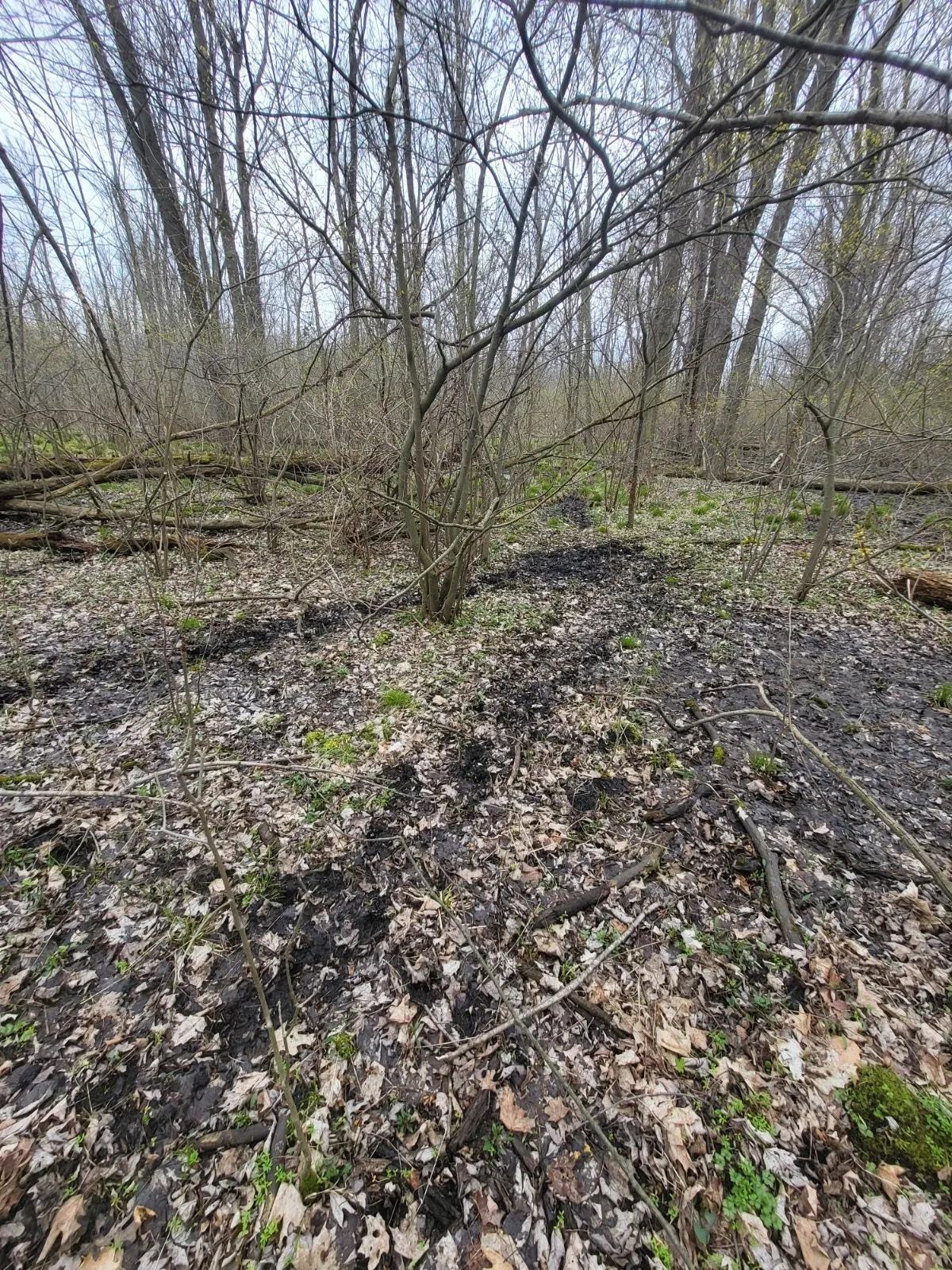 35408935-25
