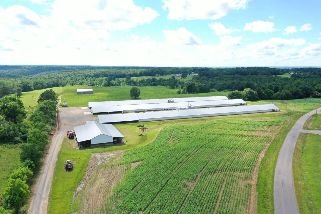 Lick Creek Broiler Farm