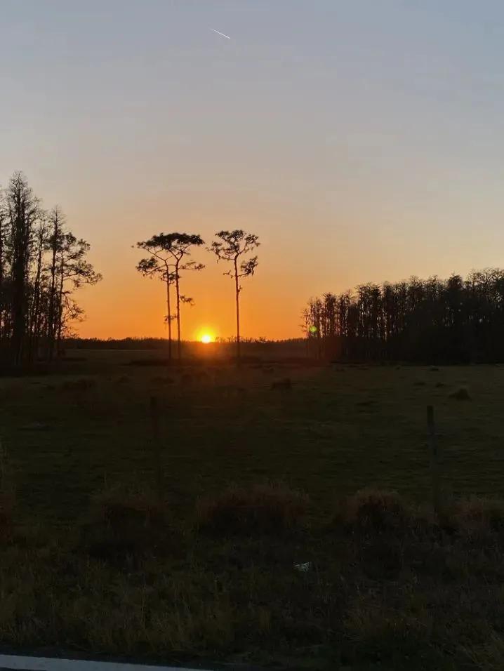 23 Acres if Untouched Florida Land- Polk County FL