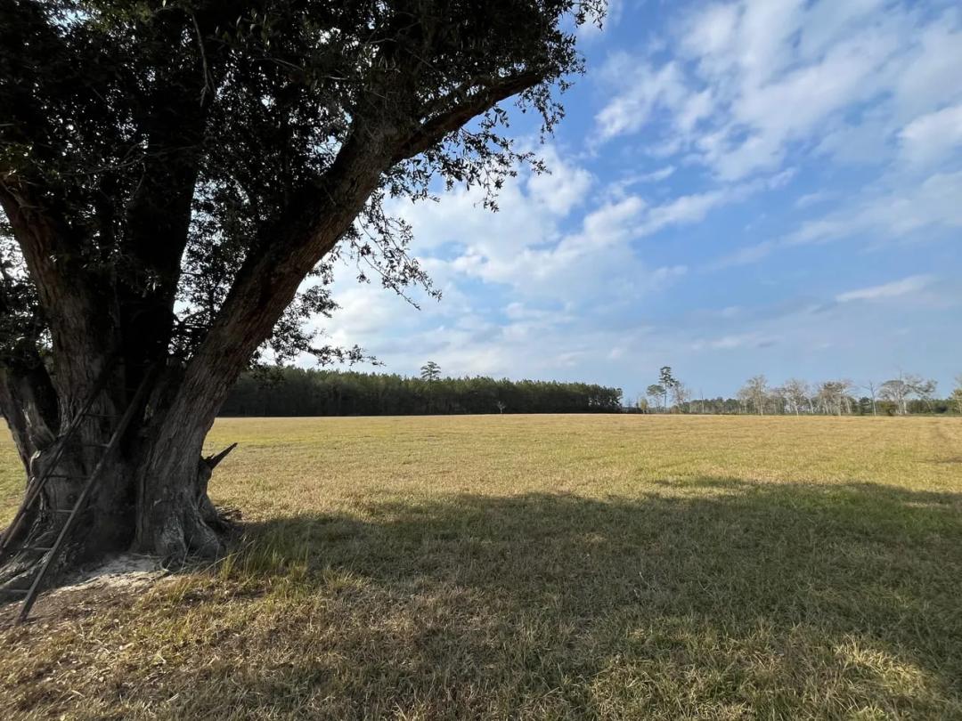 Large Cleared Homesite in X Flood zone (Lot D-4)
