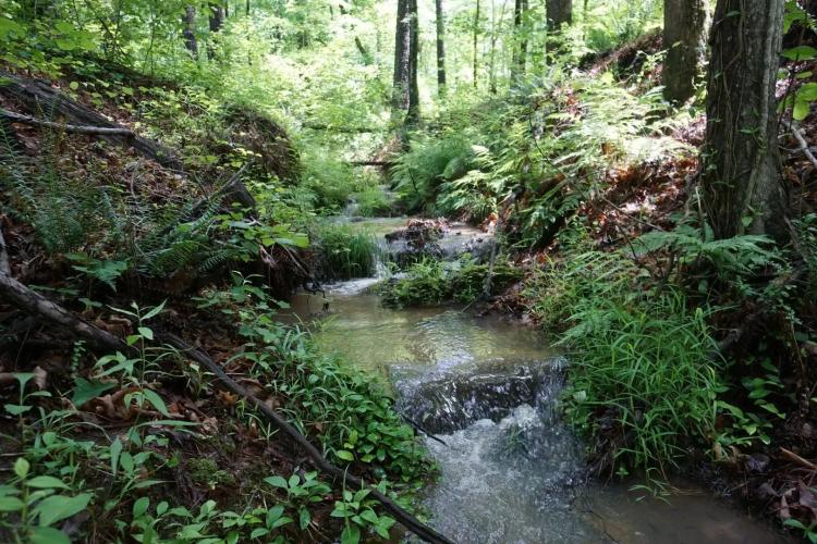 30.8 +/- Ac Lamar Co., GA - Ramah Church Rd