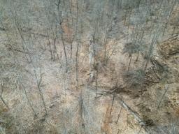 35493901-10