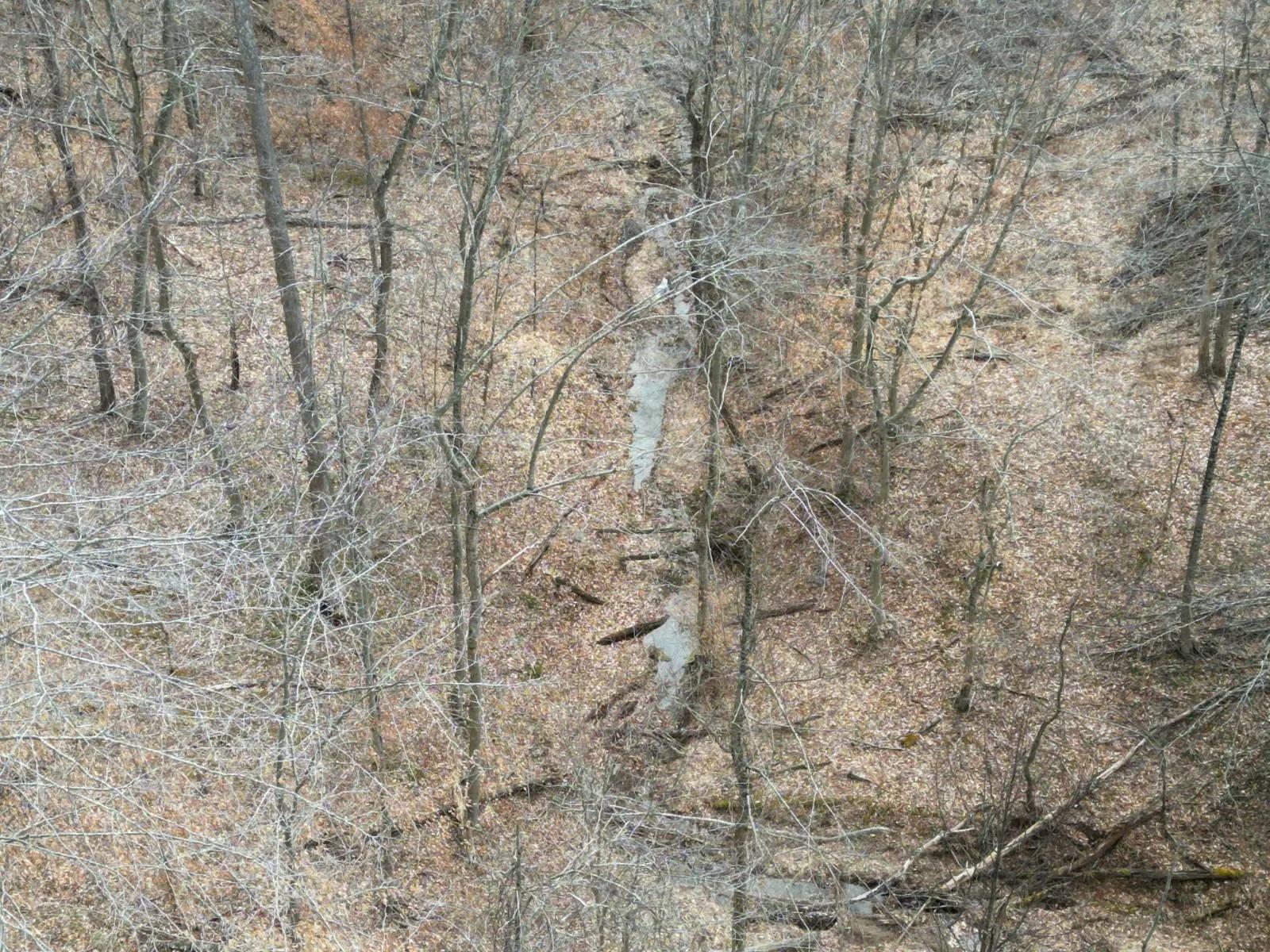 35493901-11