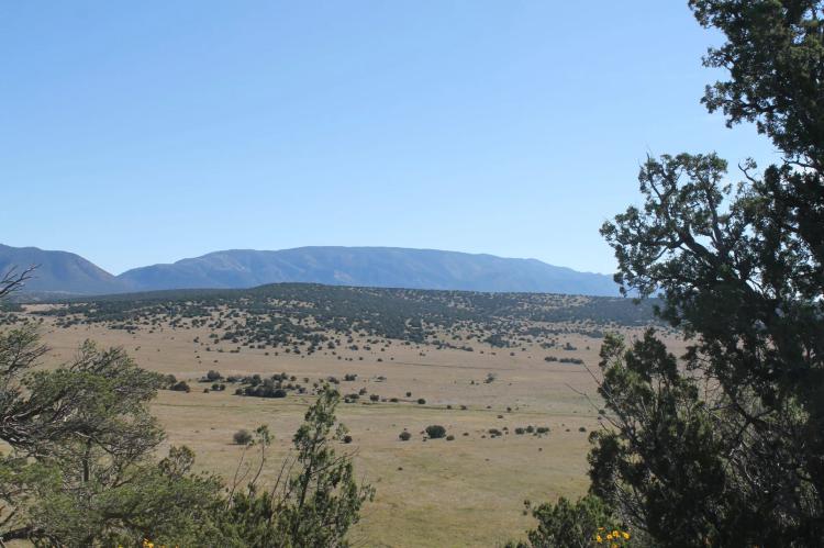 Capitan Mountain Ranch Land