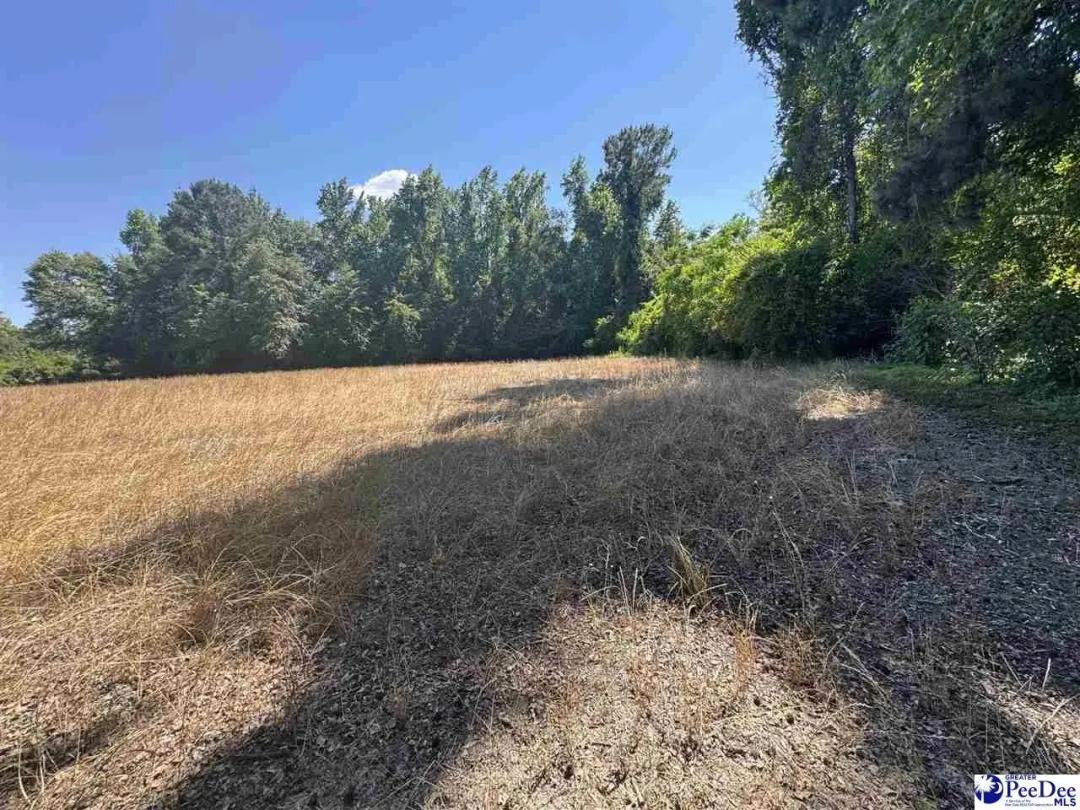 10.74 Acres of Land for Sale in Nichols, South Carolina