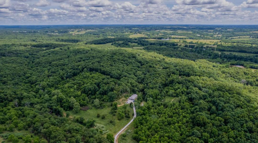 75.7 Acre Hunting Farm With Shop House, Food Plots And Great Whitetail Habitat Near Table Rock Lake