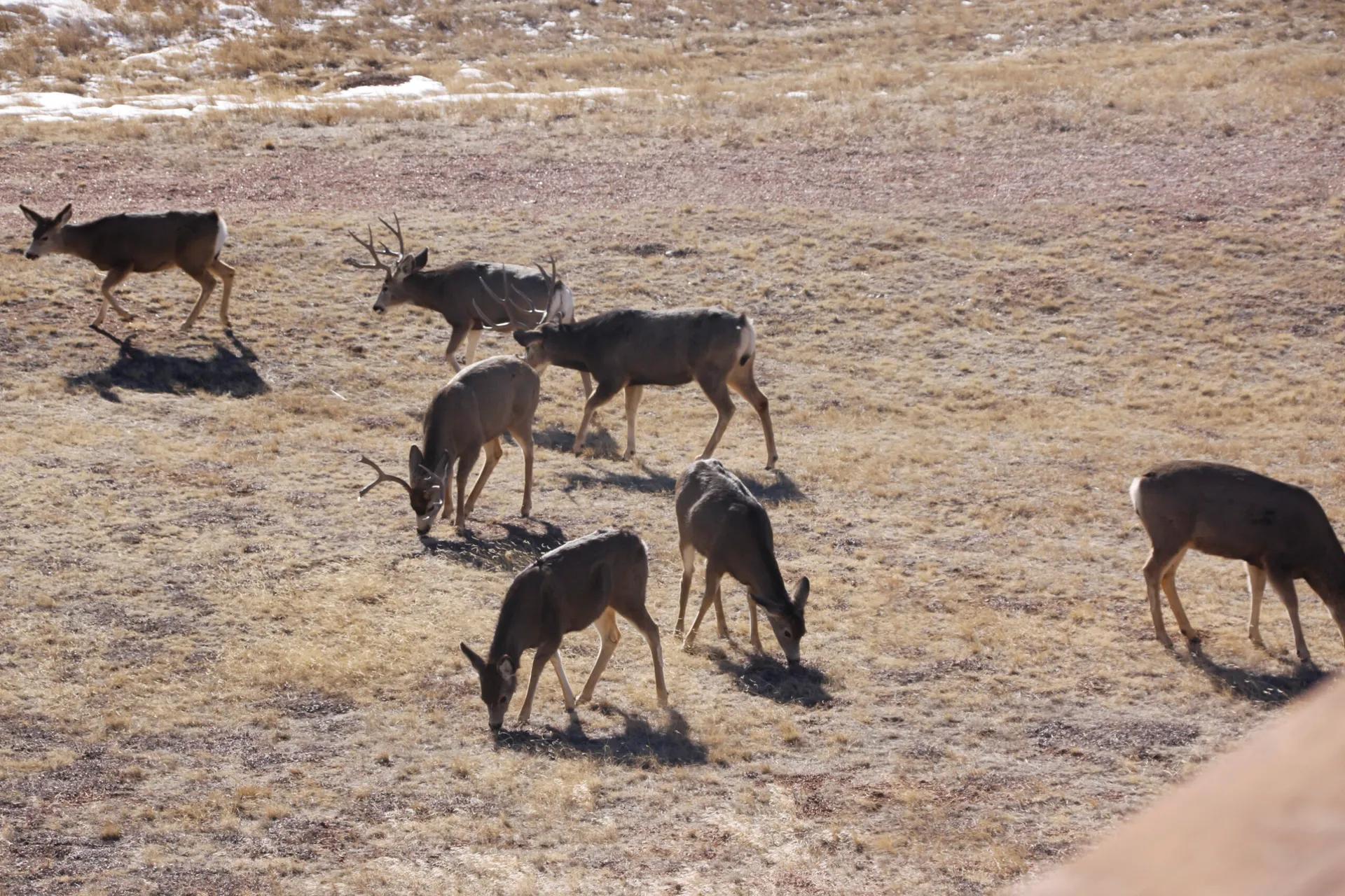 35523977-58