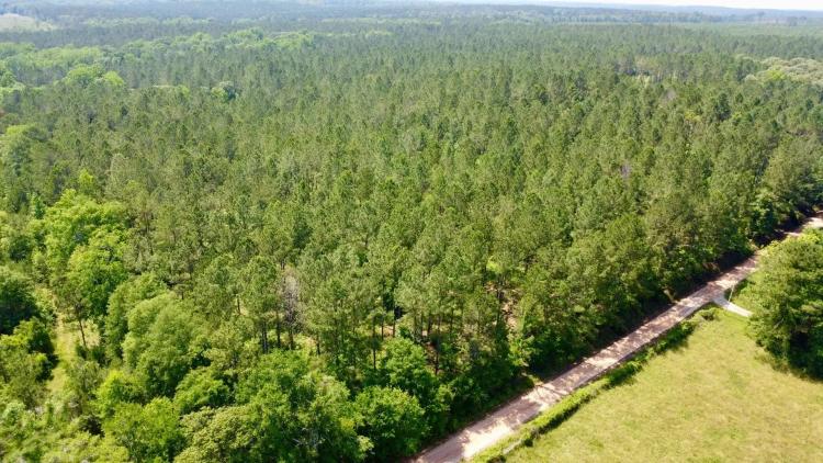 38 +/- Acres in Chambers County, AL- Homesites, Mature Timber, Creeks