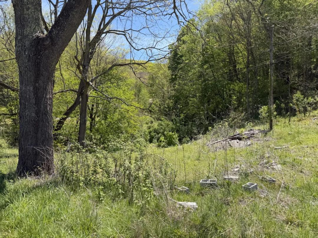 4 acres with Spring and large timber!