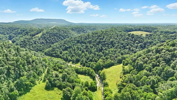 140.3 +/- Acres – Hunting & Recreational Land – Woodbury, TN | Cannon County