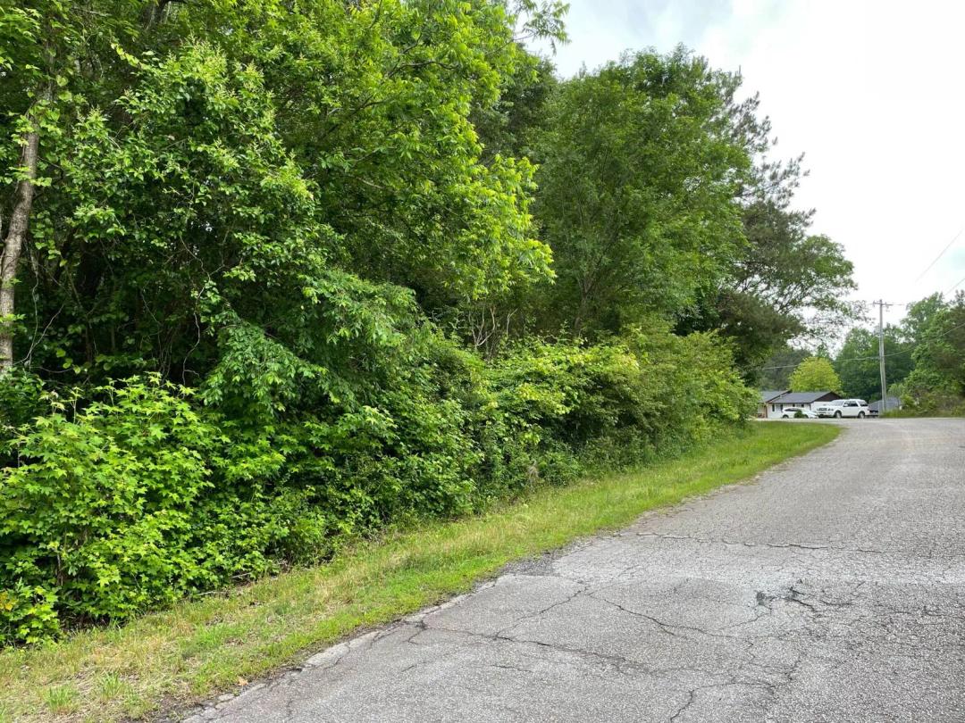 10.80 Acres at 106 Rock Springs Rd