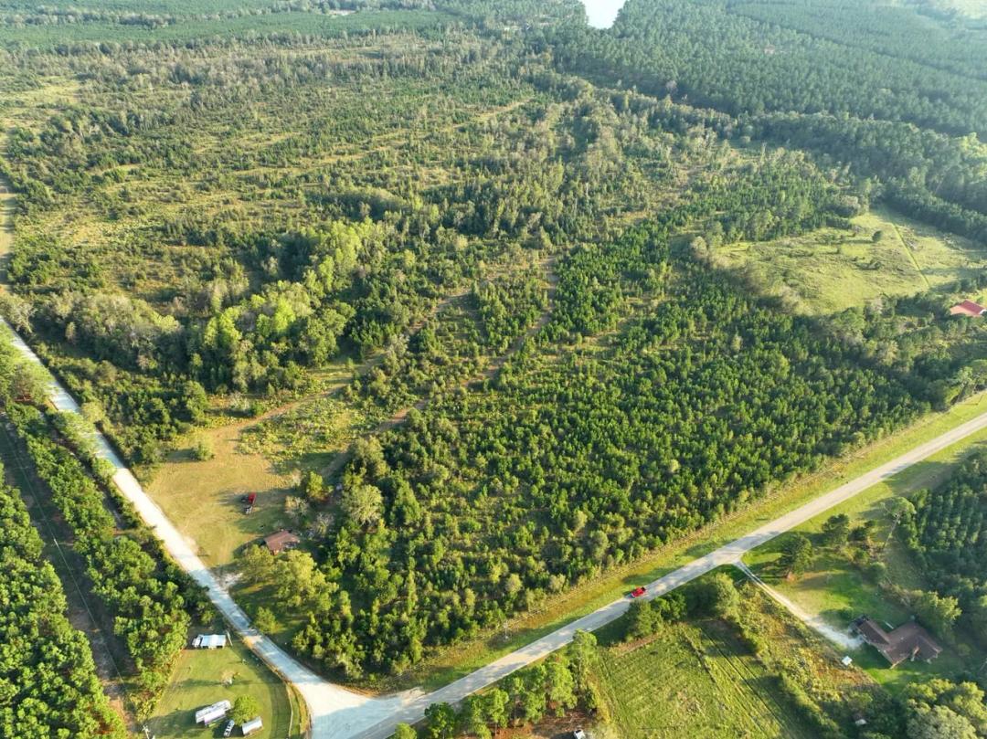 36 +/- Ac Land for Sale Dodge County, GA